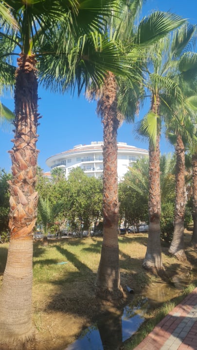 Außenansicht Seaden Sea World Resort & Spa