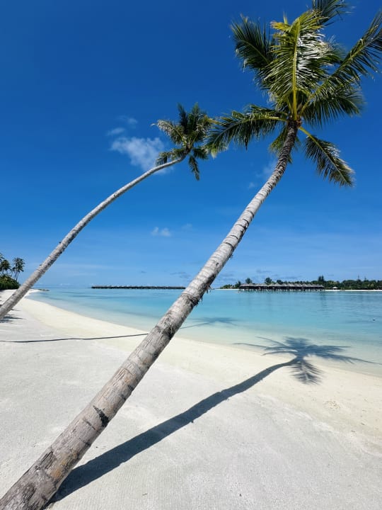 Strand TUI BLUE Olhuveli Romance