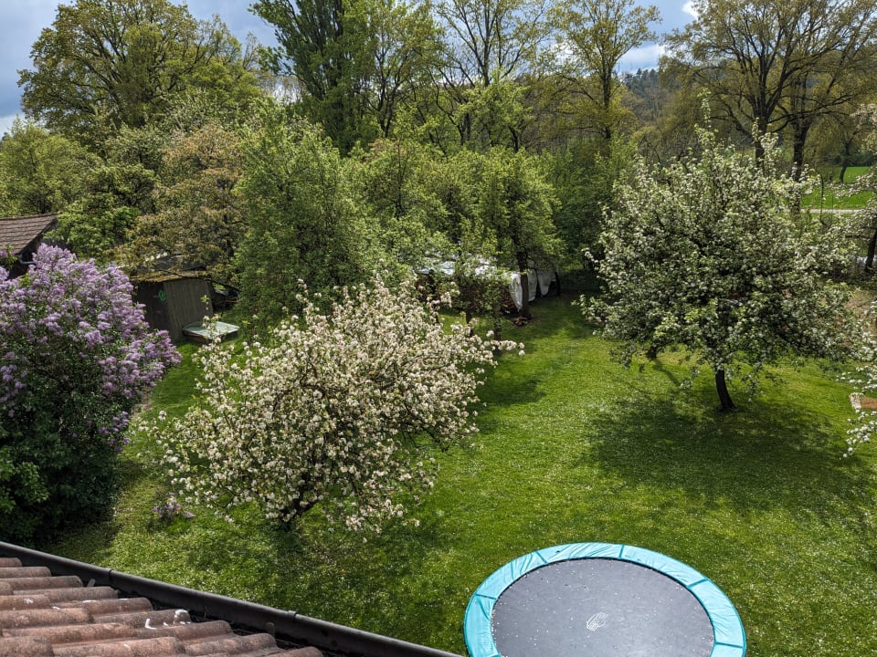 Ausblick Ferienhof Lehner am Rothsee