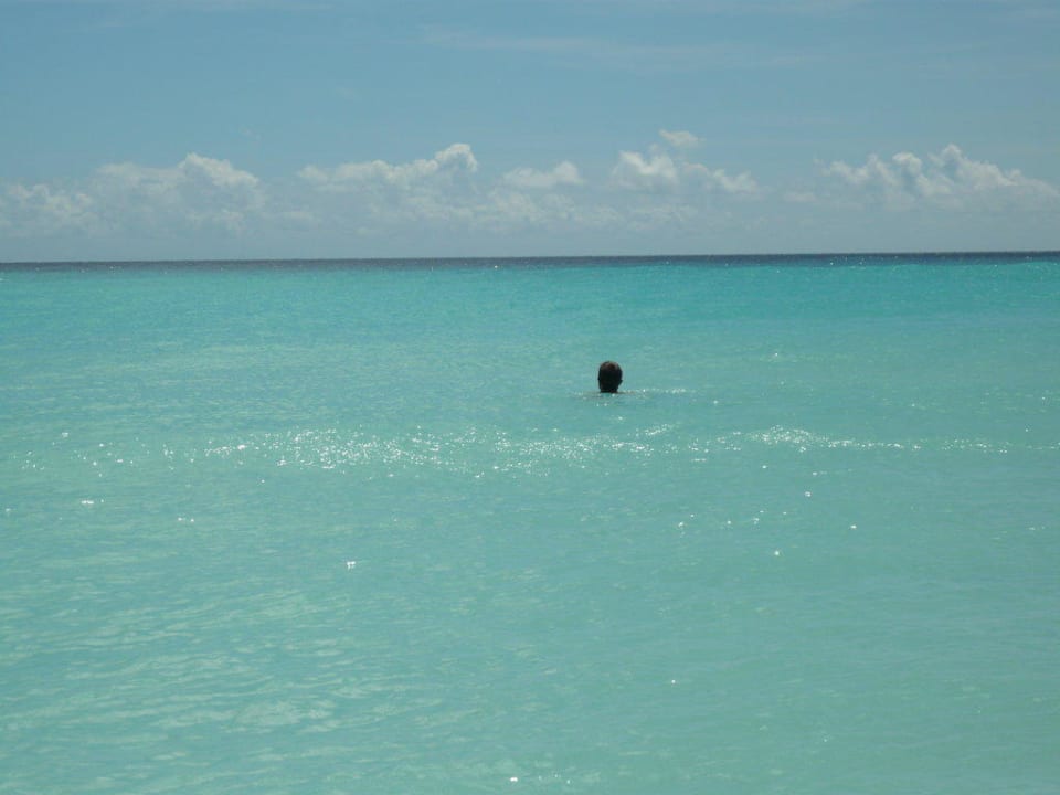 Dover Beach Dolphin Inn Guesthouse