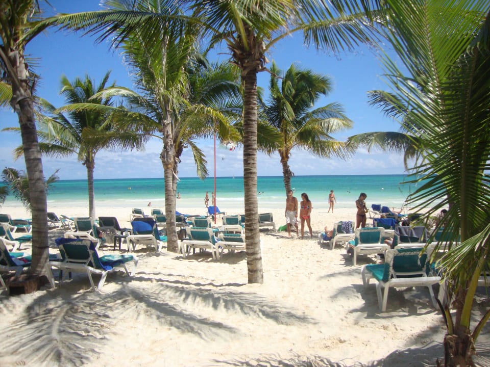 Hotel Catalonia Playa Maroma Catalonia Playa Maroma