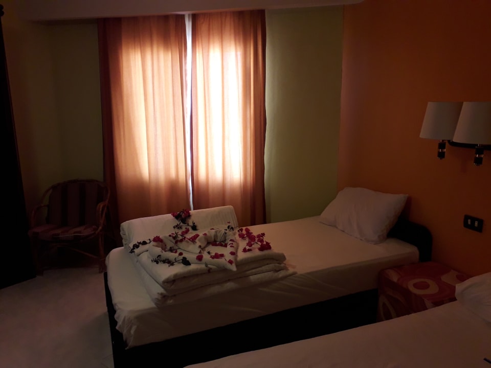 Zimmer Hotel Coral Garden