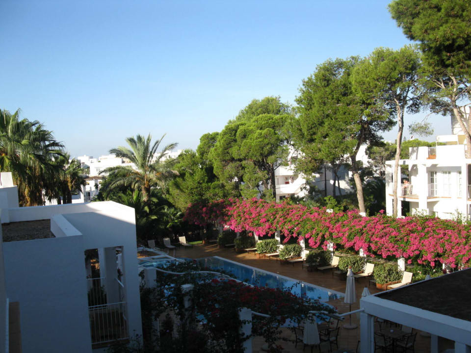 Pool Meliá Cala d'Or Hotel
