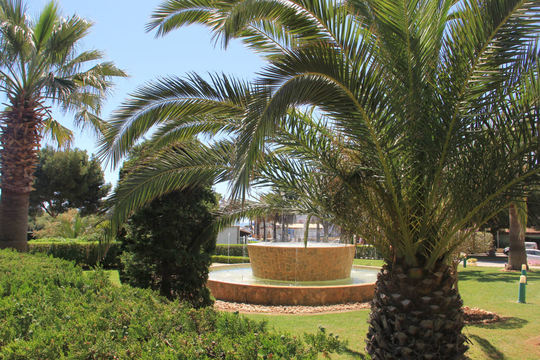 Gepflegter Eingangsbereich 2 allsun App.-Hotel Orient Beach