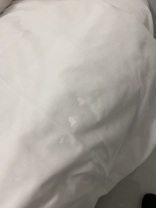 Zimmer Hotel Viva Dominicus Beach by Wyndham - All Inclusive Resort