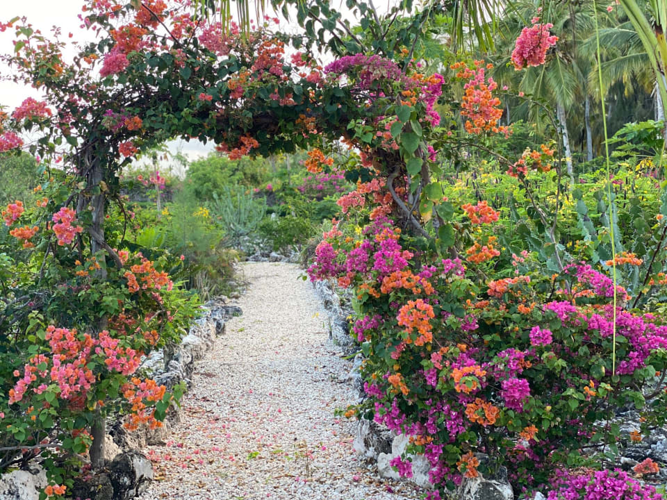 Gartenanlage SBH Kilindini Resort