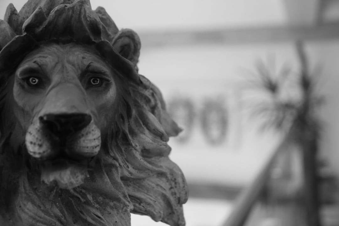 Gastro Gasthof zum Löwen