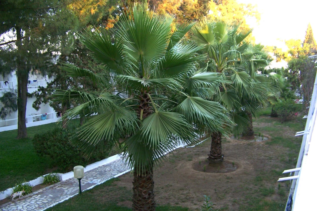 Blick aus dem Zimmer The Club Hammamet