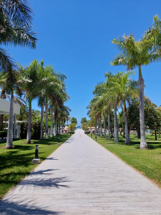 Gartenanlage Hotel Riu Palace Meloneras