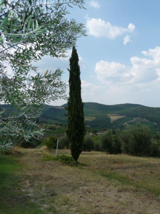 Gartenanlage Hotel Relais Fattoria Valle