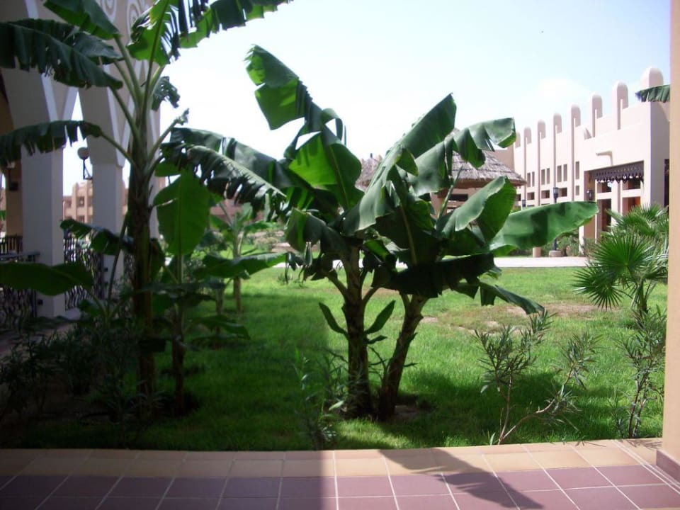 Blick vom Frühstückstisch Hotel Riu Funana