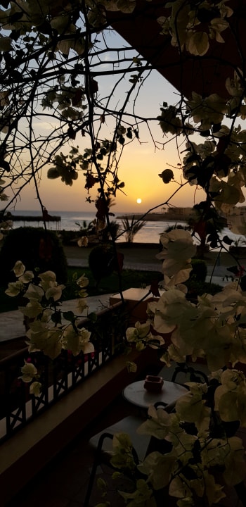 Zimmer Steigenberger Coraya Beach - Adults only