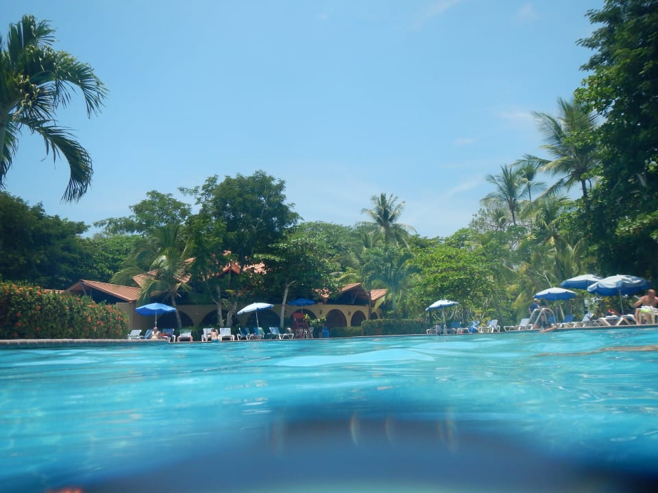 Große Poolanlage Hotel & Club Punta Leona