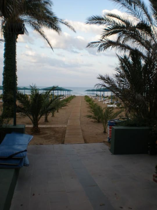 Weg zum Meer Paloma Oceana
