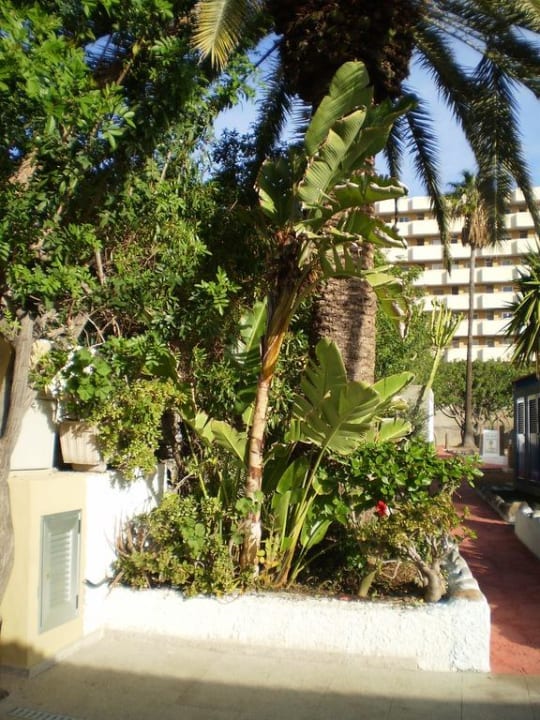 Blick zum Rondo HL Miraflor Suites Hotel