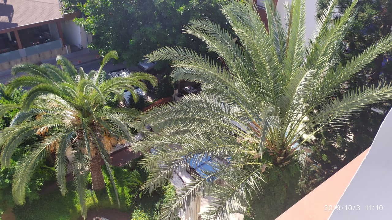 Gartenanlage Gardenia Hotel