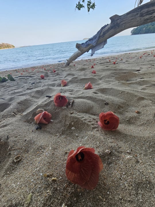 Strand Island Escape Burasari