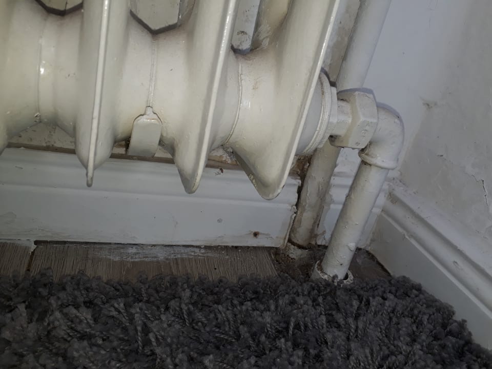Zimmer Ferienwohnung Drei Eichen II