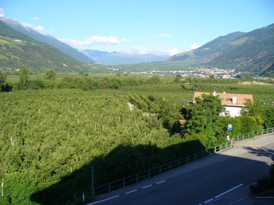 Blick vom Balkon in die Obstgärten Wanderhotel Vinschgerhof
