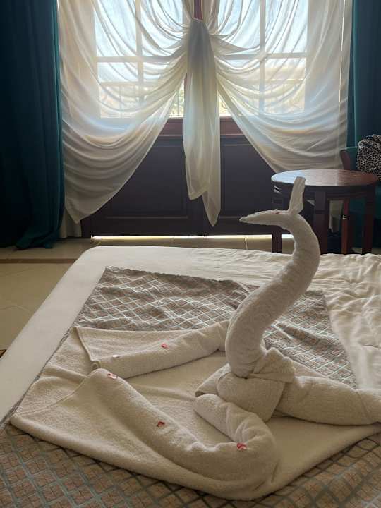 Zimmer Coral Hills Resorts & SPA