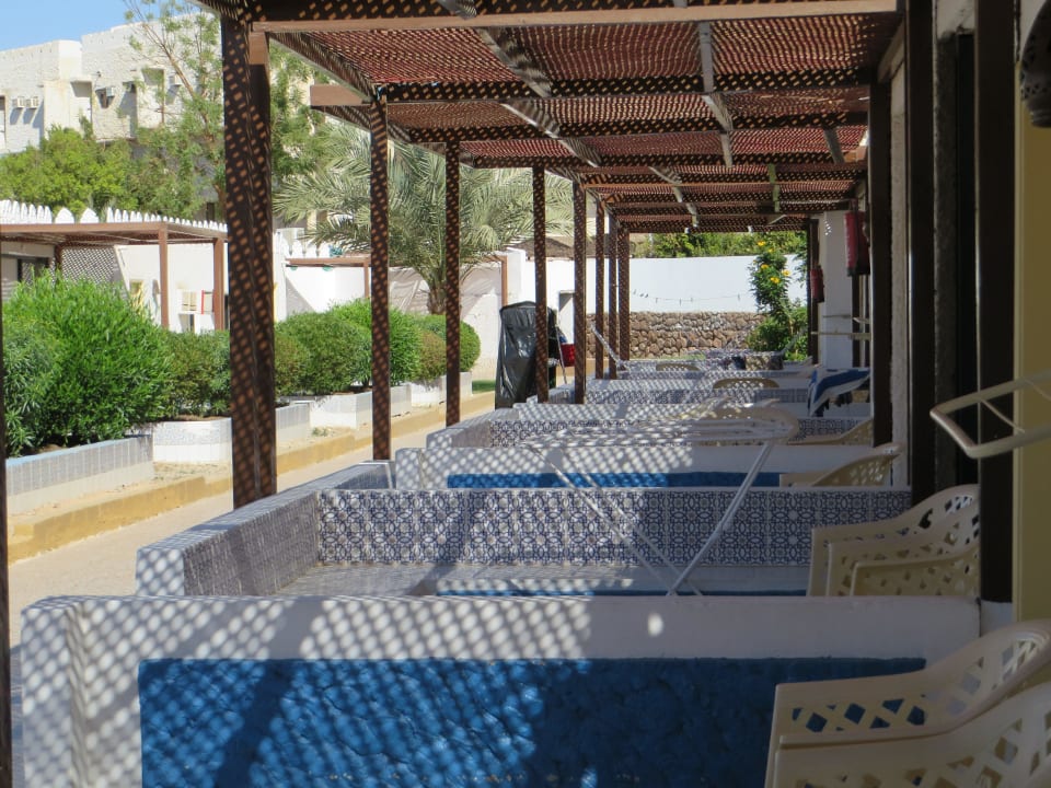 Bungalow Terrasse Albatros Sharm Resort