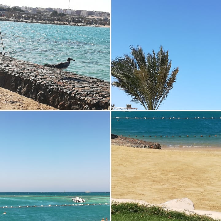 Strand Sunny Days Palma De Mirette Resort & Spa