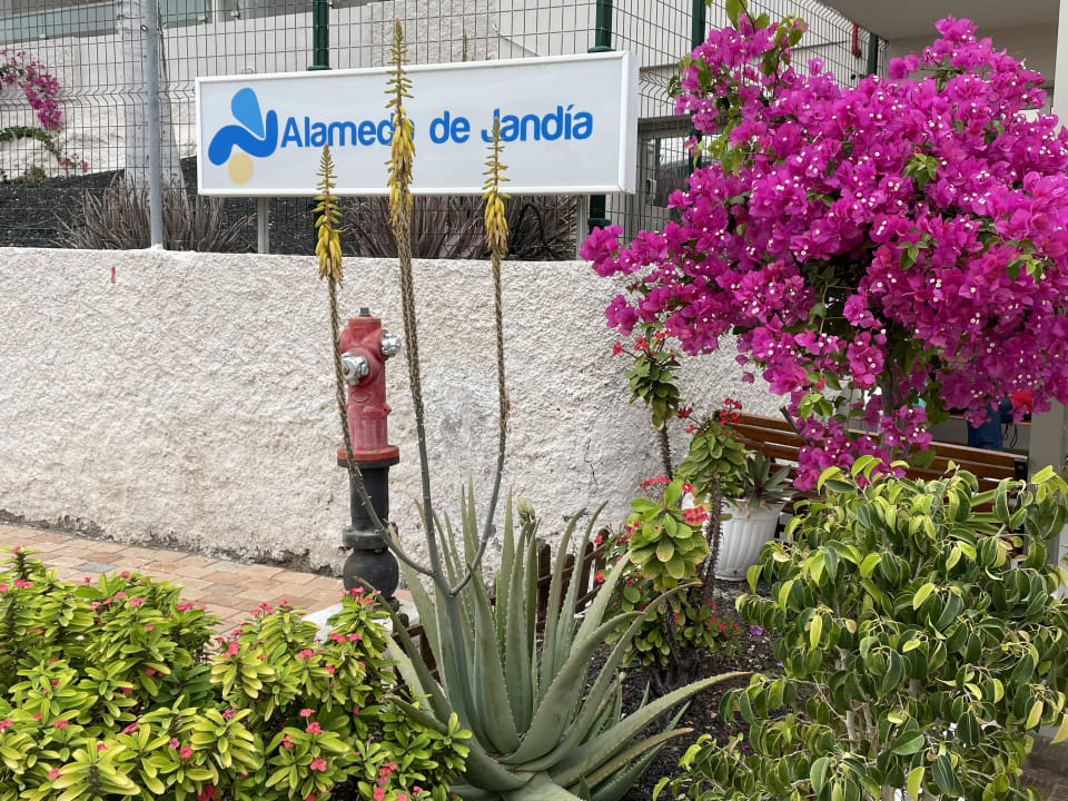 Sonstiges Servatur Alameda de Jandía