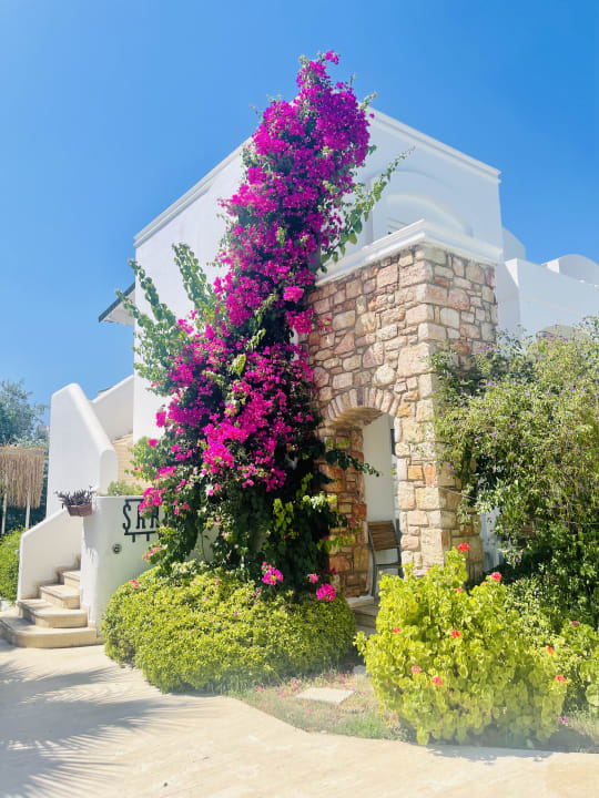 Außenansicht Costa Sariyaz Hotel