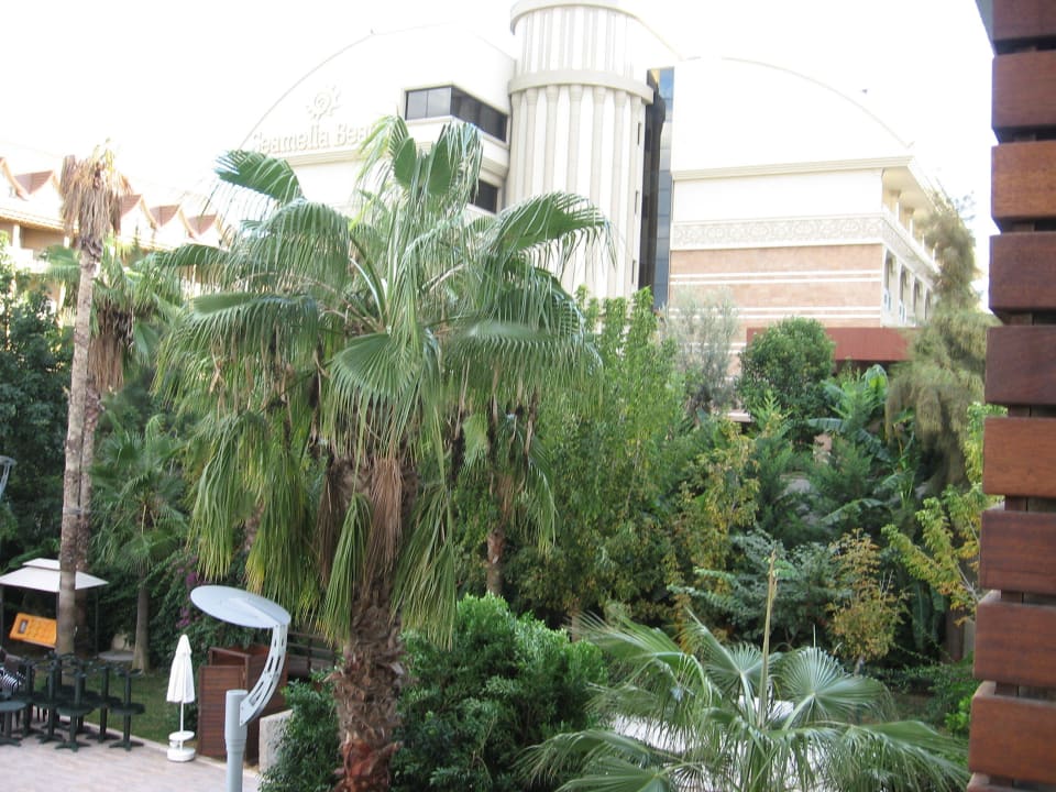 Ausblick  Port Side Resort Hotel