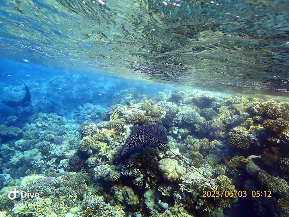 Strand Makadi Spa - Adults only