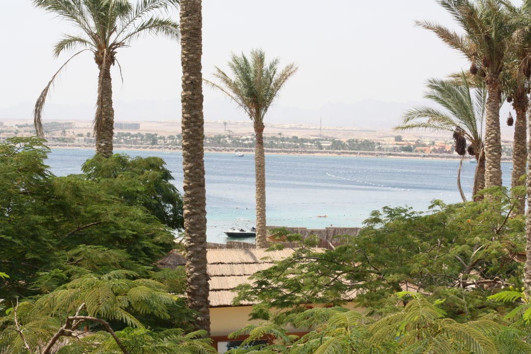 Ausblick Grand Waterworld Makadi & Family Star Makadi