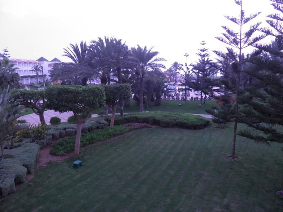 Garten Iberostar Waves Founty Beach