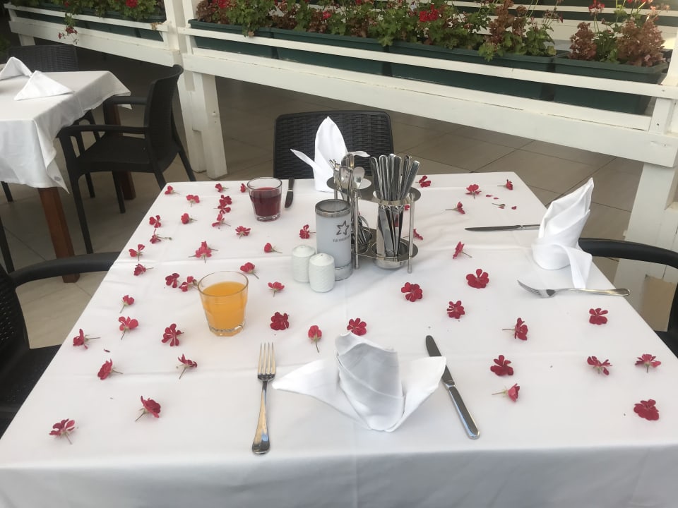 Gastro Asteria Family Belek