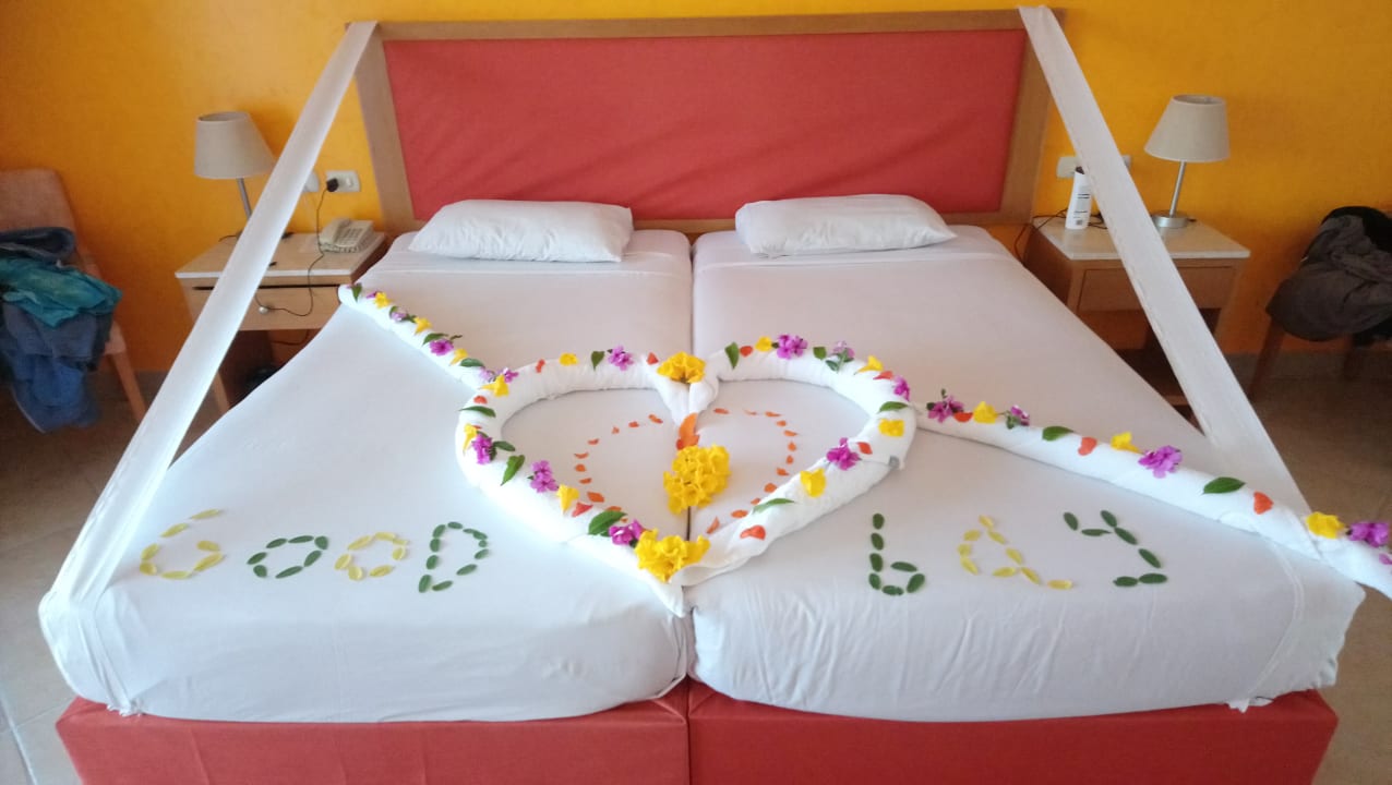 Zimmer Hotel Gorgonia Beach Resort
