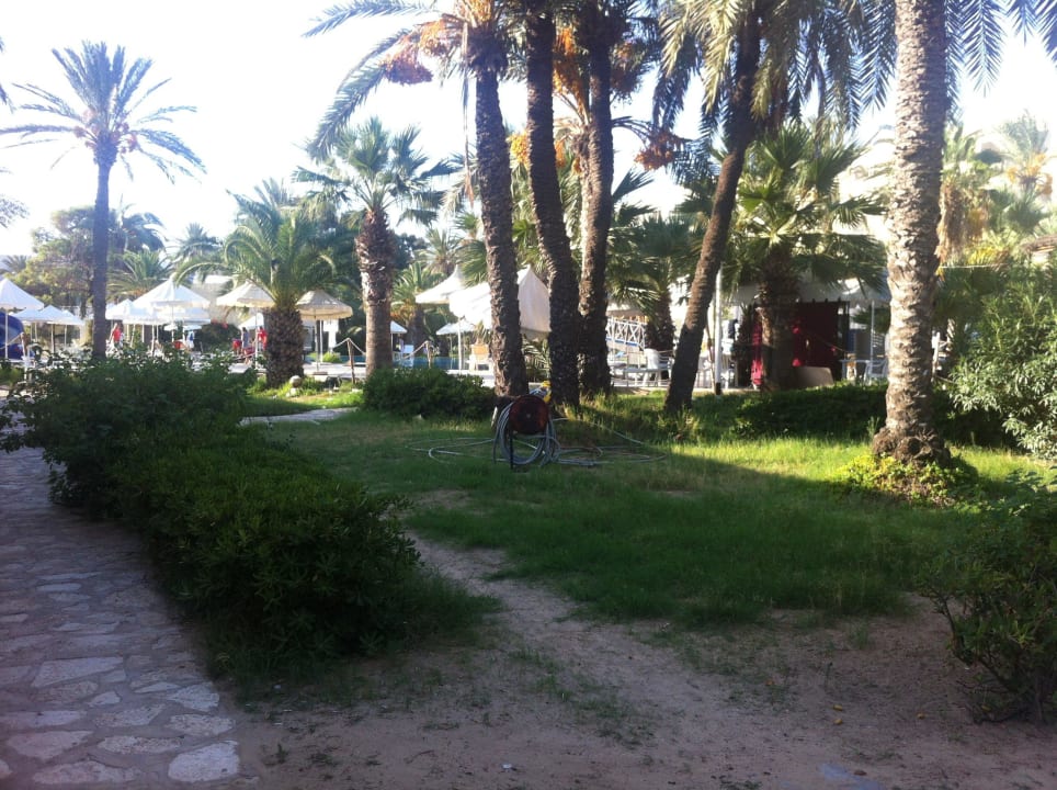 Ungepflegte Gartenanlage! Hotel Marhaba Club