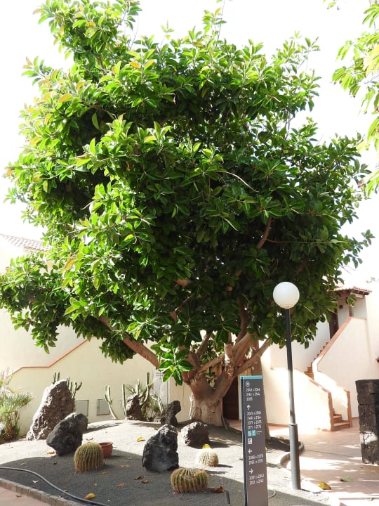 Rundgang durch die Hotelanlage Barceló Fuerteventura Castillo