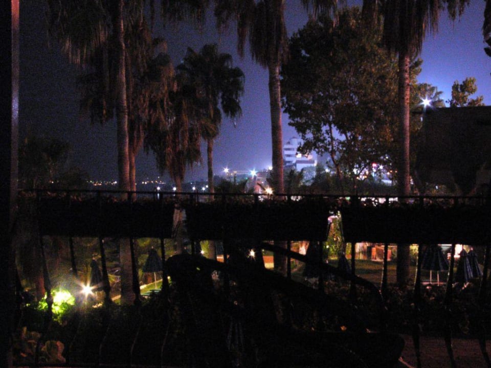 Bei Nacht... Antik Garden