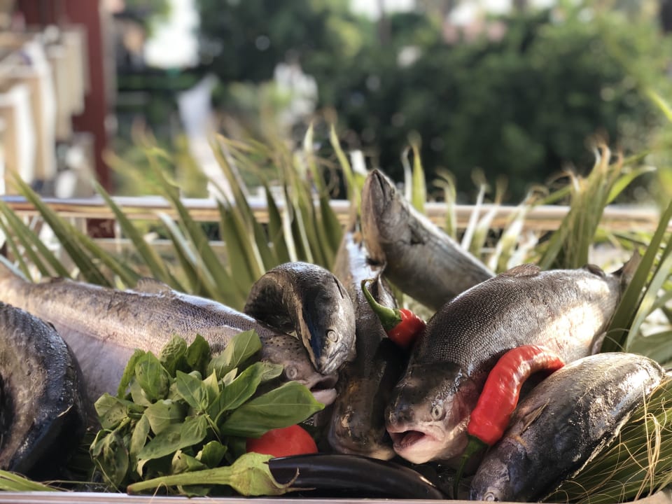 Gastro Hotel Grand Side