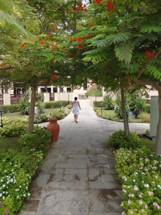 Gartenanlage neben Pool Miramar Al Aqah Beach Resort