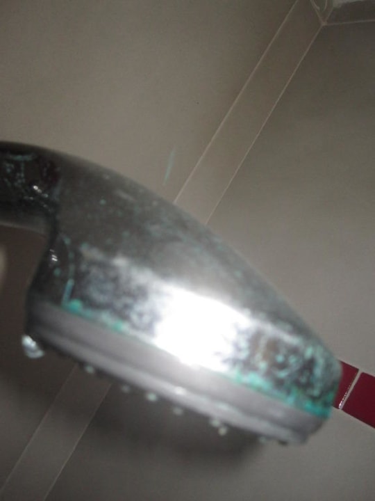 Kalkiger Duschkopf Protur Turo Pins Hotel