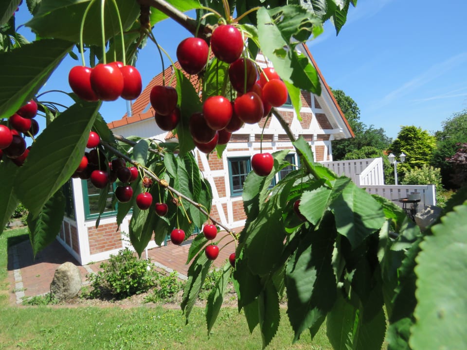 Gartenanlage Feriendorf Altes Land