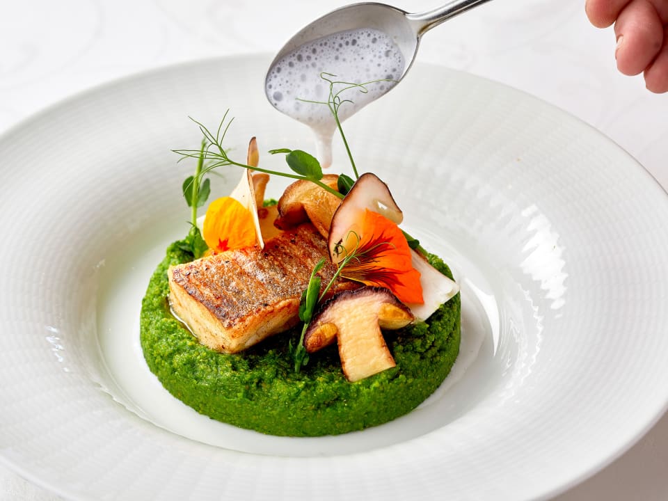 Gastro Ayurveda Resort MANDIRA