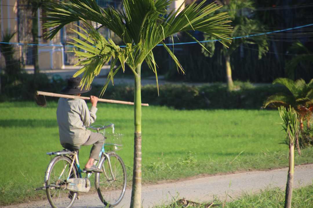 Ausblick Hoi An Lemongrass Homestay