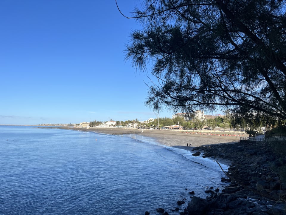 Strand Corallium Beach by Lopesan Hotels - Adults only