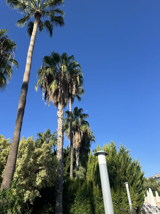 Außenansicht Arycanda Kirman Premium