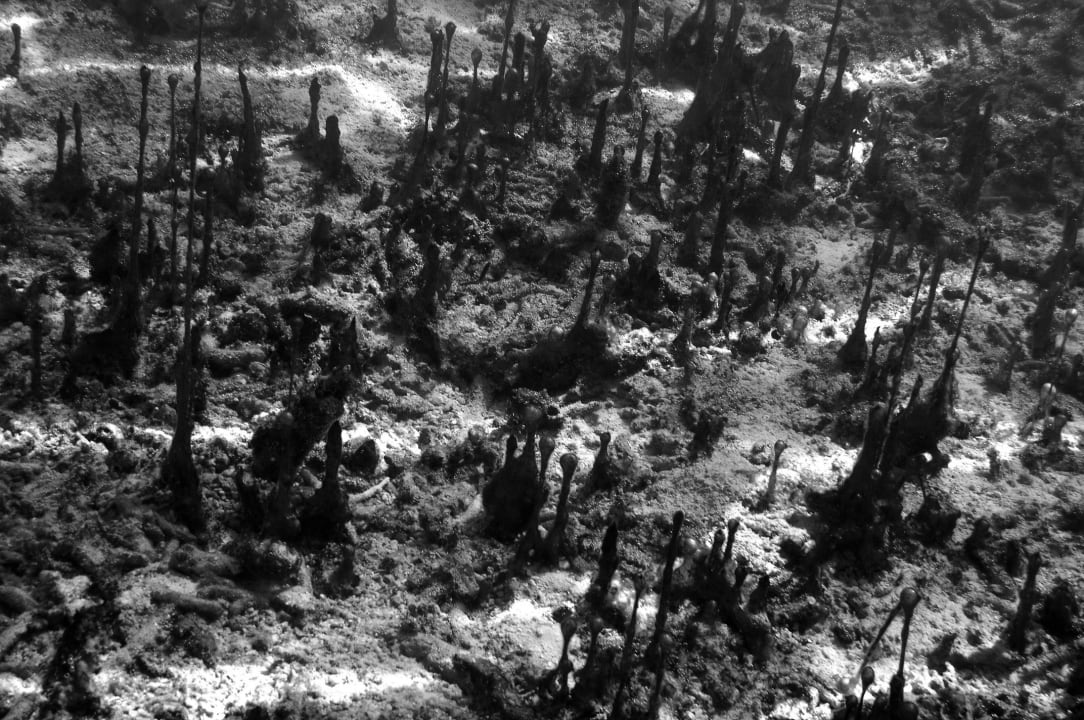 Sport & Freizeit Summer Island Maldives