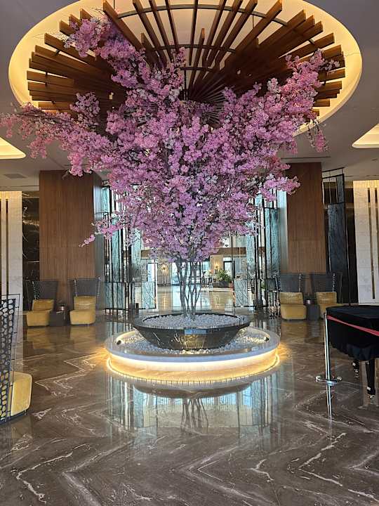 Lobby Calyptus Kirman Premium
