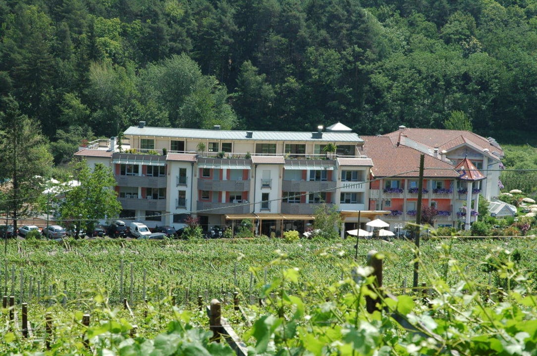 Gartenhotel Moser Sicht aus den Weinbergen Gartenhotel Moser