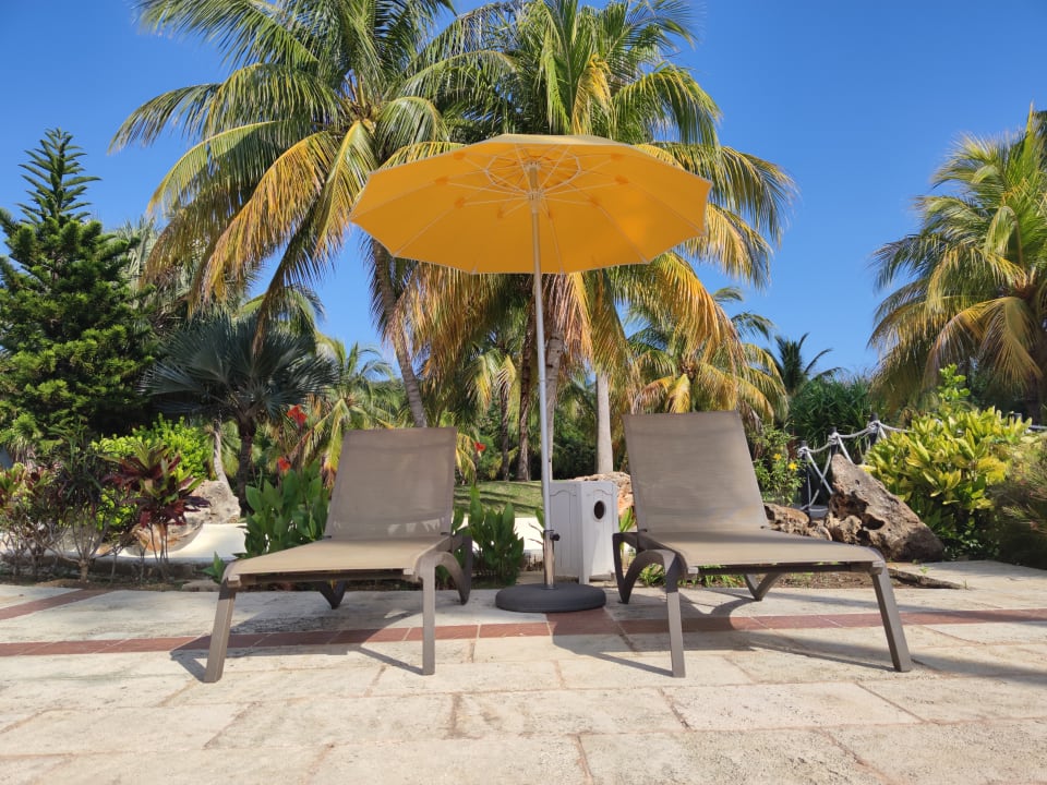 Gartenanlage Royalton Hicacos Resort & Spa - Adults only