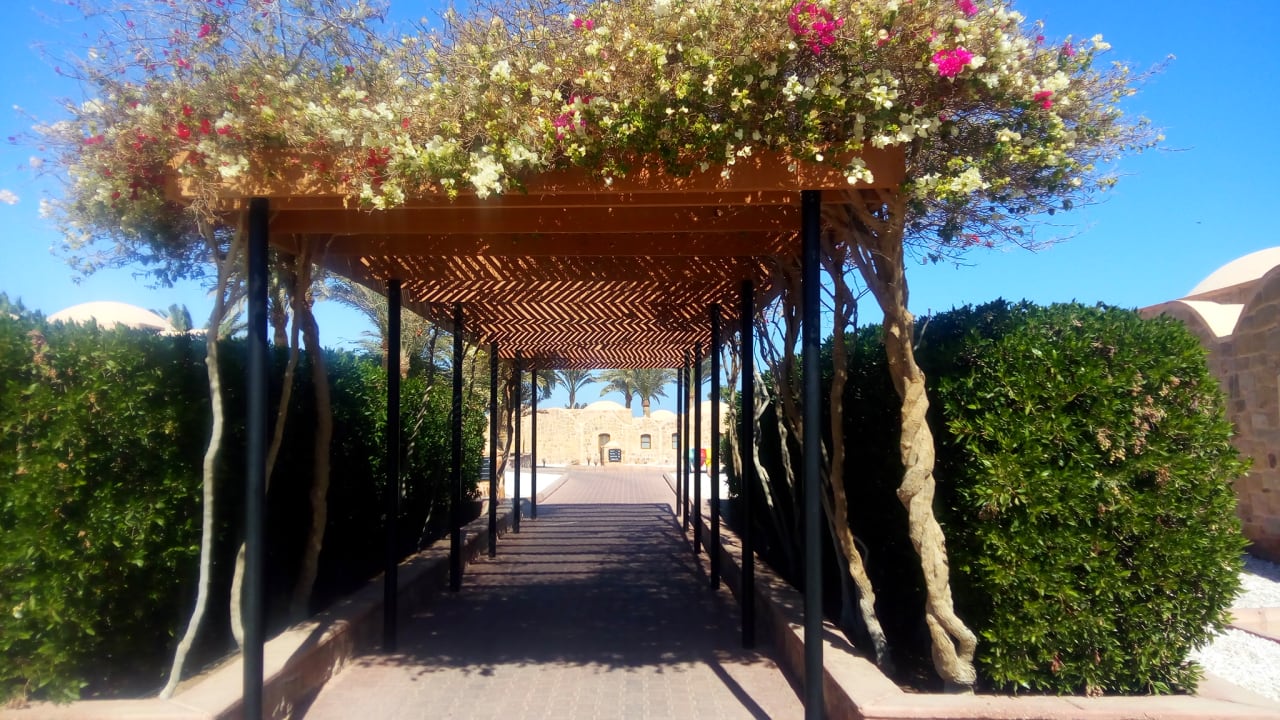 Gartenanlage Mövenpick Resort El Quseir